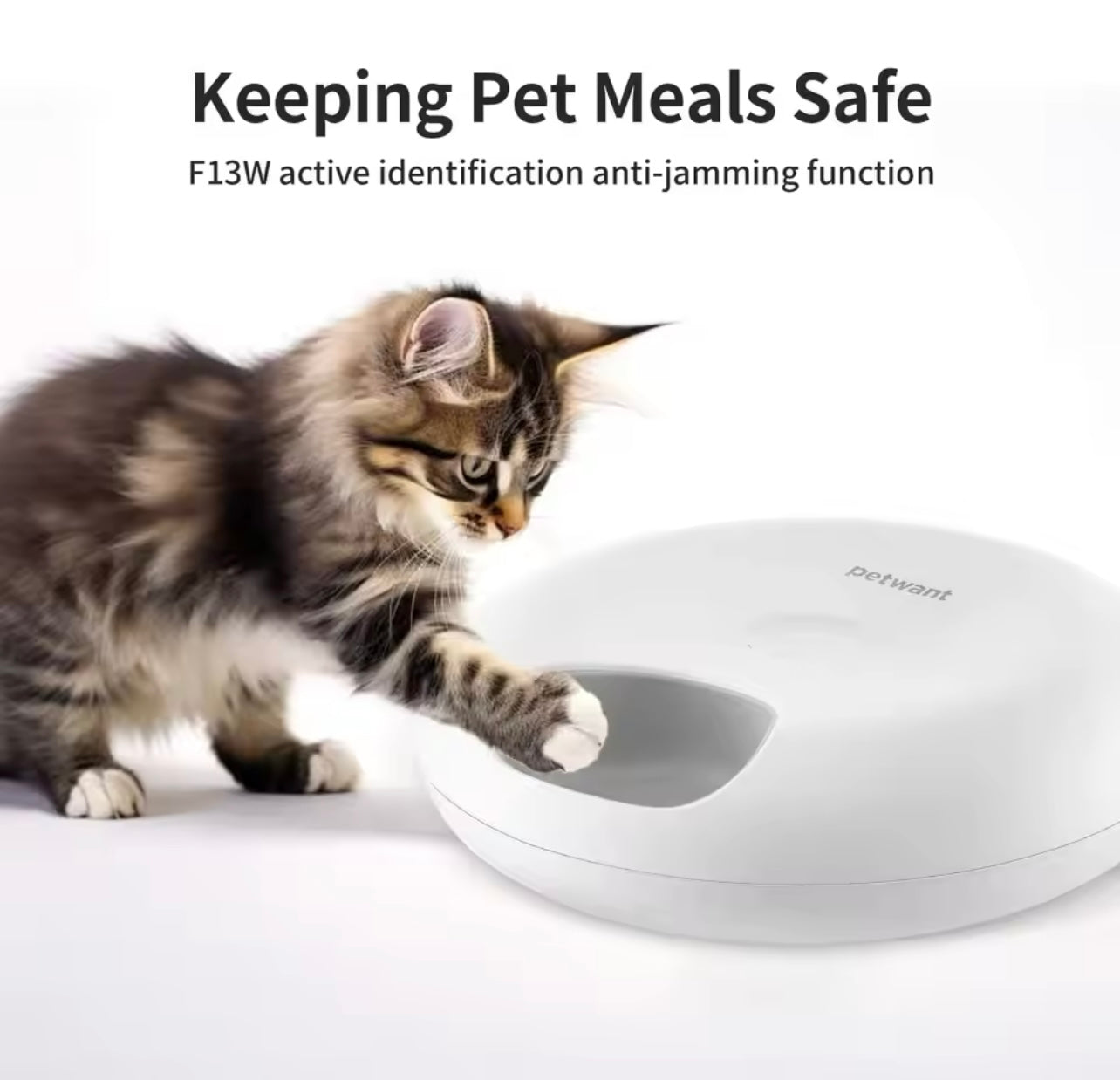 Automatic Pet Feeder 6 Meals Wifi Remote Cat Food Dispenser