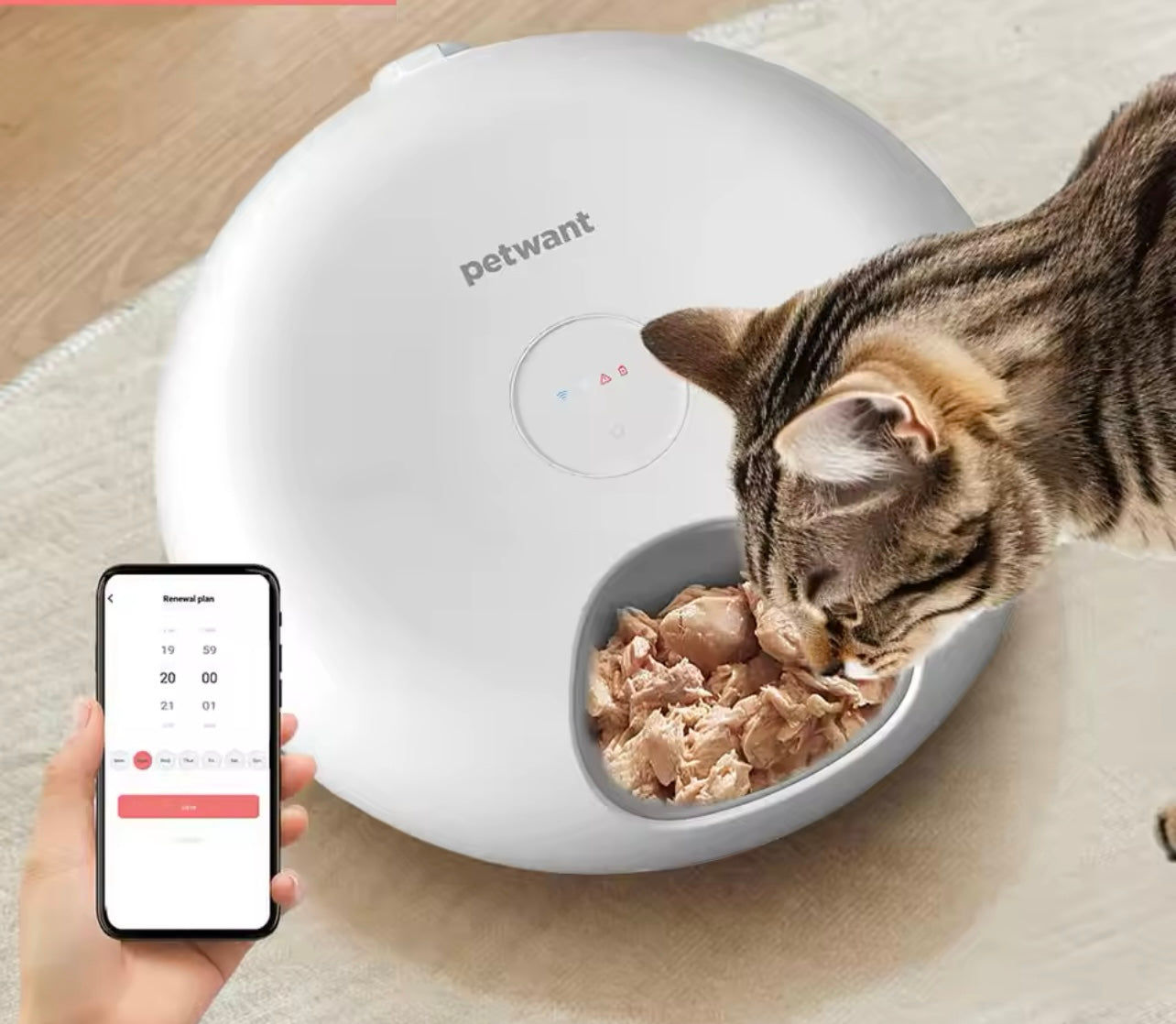 Automatic Pet Feeder 6 Meals Wifi Remote Cat Food Dispenser