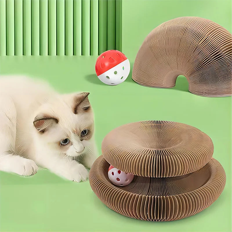 Foldable Cat Scratching Board & Bed - Interactive Toy