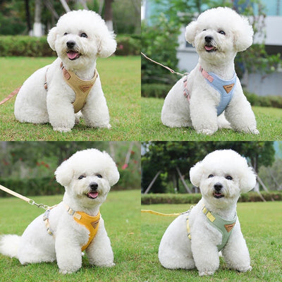 Puppy Harness and Leash Set – Breathable Vest