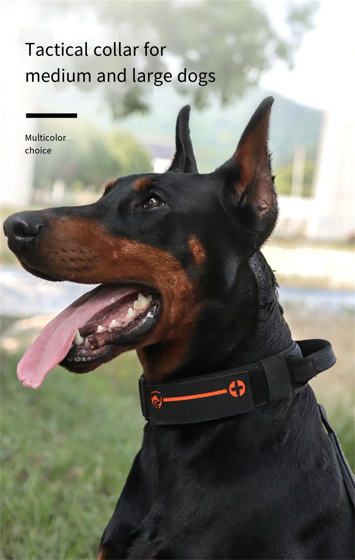 Dog Collar Durable Nylon Military Tactical Lead